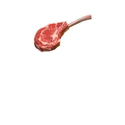 BOVINO ADULTO LOMBATA